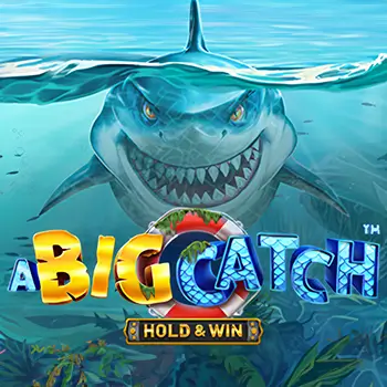 BigCatch